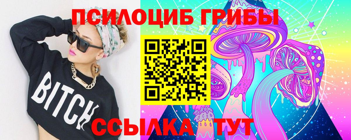 Псилоцибиновые грибы Cubensis Канаш