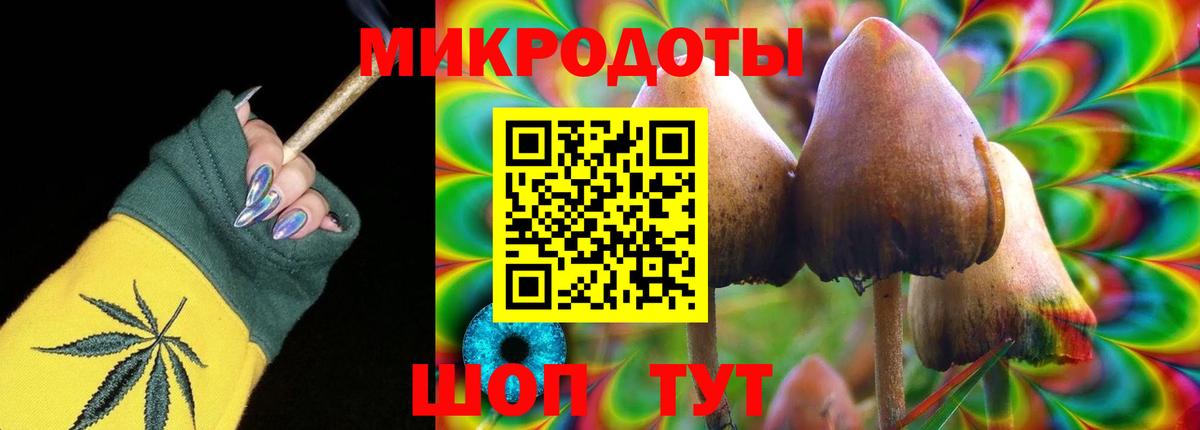 Псилоцибиновые грибы Psilocybine cubensis  Вход с VPN  Канаш 